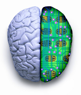 “Computerbrein” versus “menselijk brein”